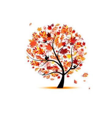 Kit Broderie Diamant "Arbre de Vie Coloré" - Arbre orange