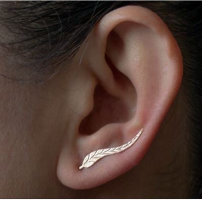boucles d'oreilles feuille argenté
